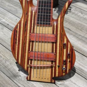 2006 Carl Thompson Rainbow 6 string Fretless Bass Reverb