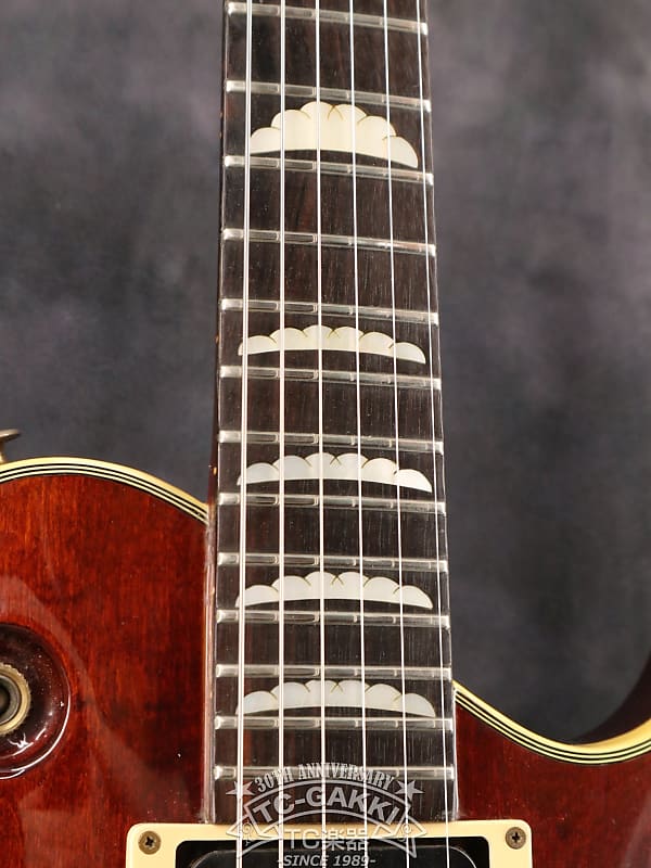 Aria Pro II PE-180 Sunburst