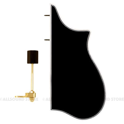 F-Model Bound Mandolin Pickguard & GOLD Bracket F5 Style BLACK w/ 3-Ply Binding for sale