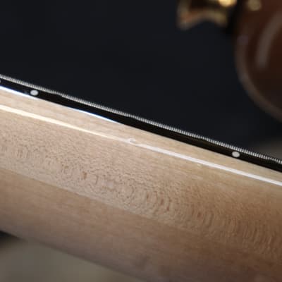 Spector USA Custom Shop NS-5XL Buckeye Burl Top 5-String Electric Bass w/Case image 16