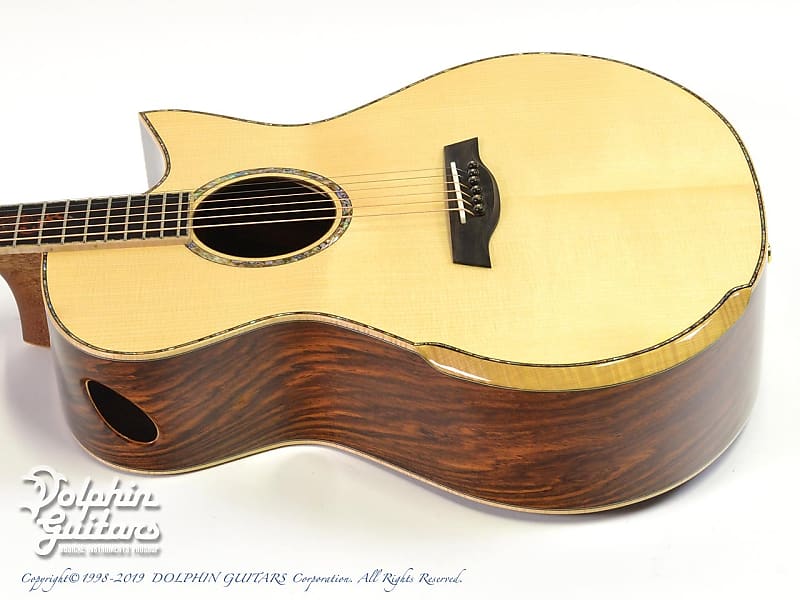 豪華装飾 インレイ アコースティックギター 希少Cocobolo（ココボロ