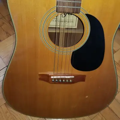 Goya G312 Acoustic Guitar image 2
