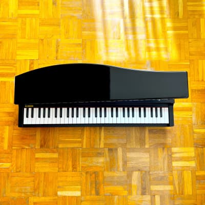☆ Brand New! ☆ Korg MicroPiano made in Japan - Mini Piano Keyboard 61 Key! Very great professional sounds! With original box, packaging, manual, p.supply! Impossible to find! image 2