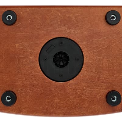 Hughes & Kettner ERA2 | 400-watt Acoustic Amplifier, Wood Finish. New! image 8