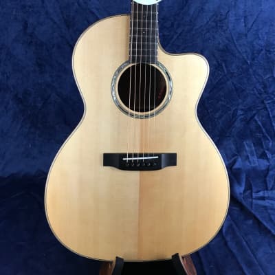 Auden Artist Mahogany Chester Model Spruce Top Cutaway in Hard Case image 3