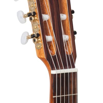 Kremona  F65C | Solid Cedar Top Classical Guitar. New with Full Warranty! image 4