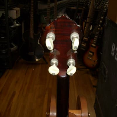 Deering Tenbrooks Legacy 5-String Banjo, Vintage Brown image 6