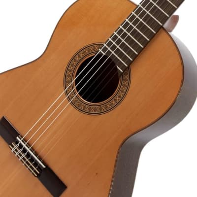 Raimundo 118 Classical Guitar image 3