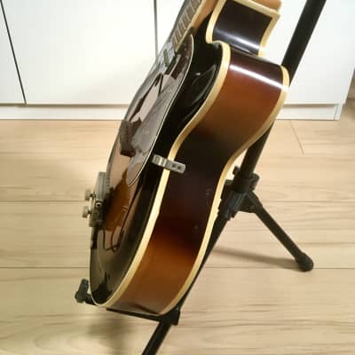 Roger Model 50E Cutaway c1955 Sunburst with 1950s tolex cover and photo copy brochure New Price Drop image 6