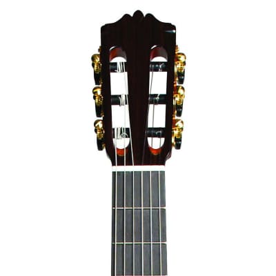 Cordoba C9 Parlor 7/8-Size Nylon-String Classical Acoustic Guitar(New) image 5