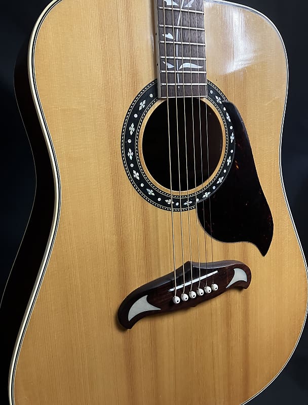 LP Uptown Sculpted Ash Bongo – モリダイラ楽器