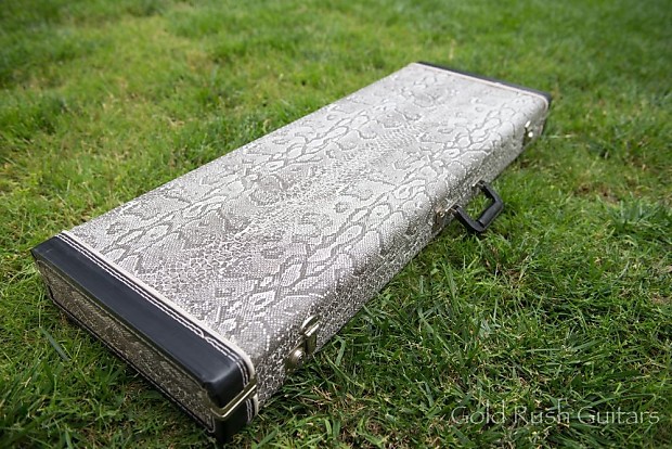 Snakeskin guitar case deals