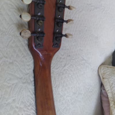 Robert barth ? 1900-1920 - Wood Inlay German bowlback, Neapolitan mandolin , parts or repair image 11