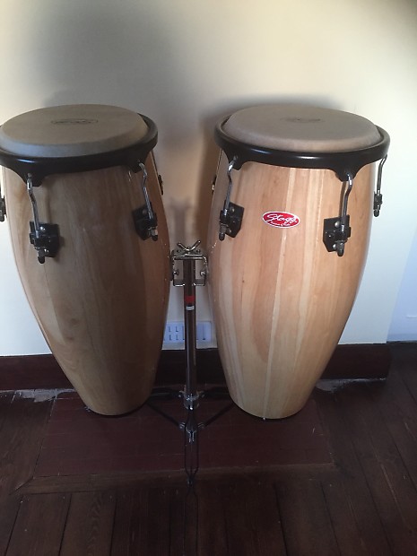 Stagg congas cheap