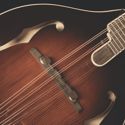 Washburn Timeless A43 A-Style All Solid Mandolin with Hardshell Case *showroom model* image 8