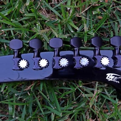 (SOLD) Parker Spanish Fly" - "Nylon" Guitar w/Custom Graphtech Electronics - ULTRA-RARE! image 8