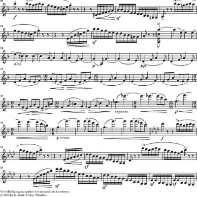 Sonata No. 1 in D minor, Op. 75 image 3