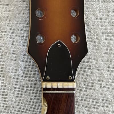 Vintage Orlando 300 Hollowbody Electric Guitar Project HUSK Japan Country Gentleman Copy image 3