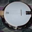 Deering Goodtime 2 5-String Banjo with gig bag