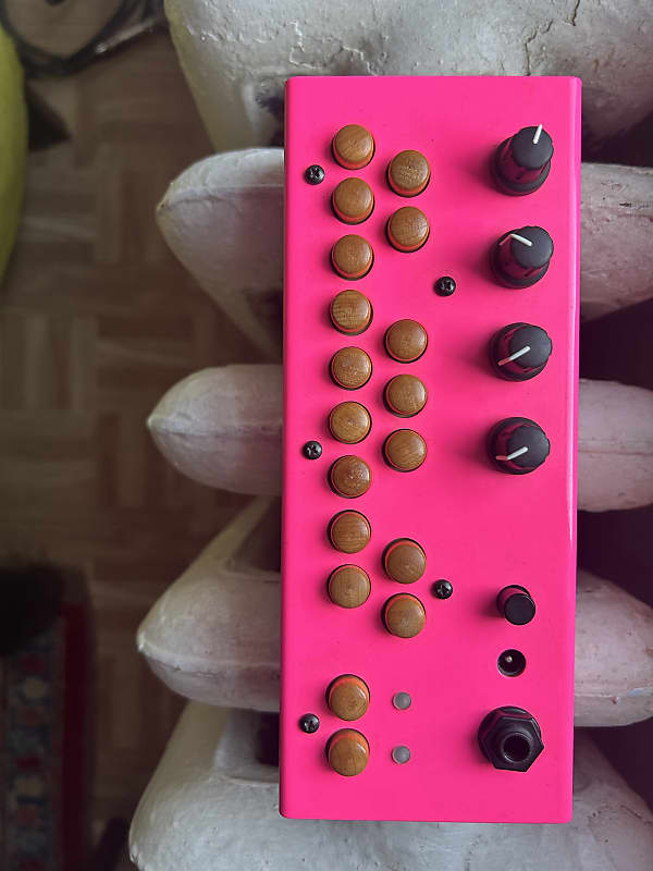 Critter & Guitari Bolsa Bass