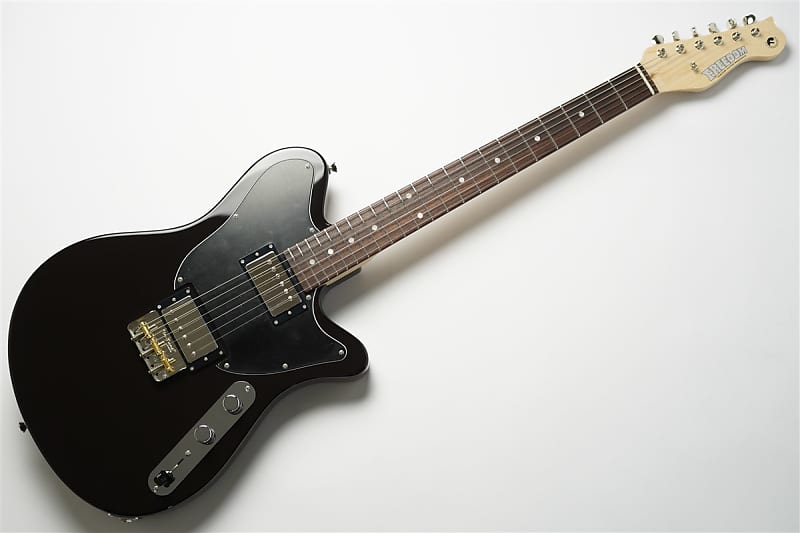 FREEDOM CUSTOM GUITAR RESEARCH Shaker L.W.Ash2P/R Black