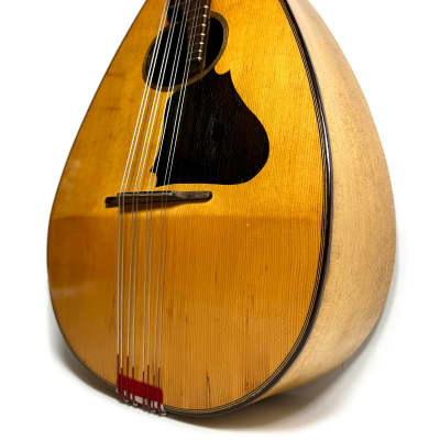 Concert Mandola Flat-Back Emanuele Egildo N°240 from 1920 image 3
