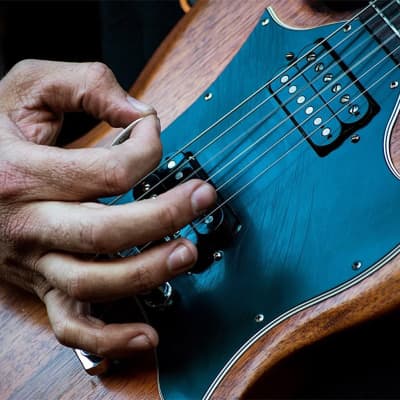 D'Andrea Snarling Dog Brain Nylon Guitar Picks 72 Pack Refill (Red, 0.73mm) image 3