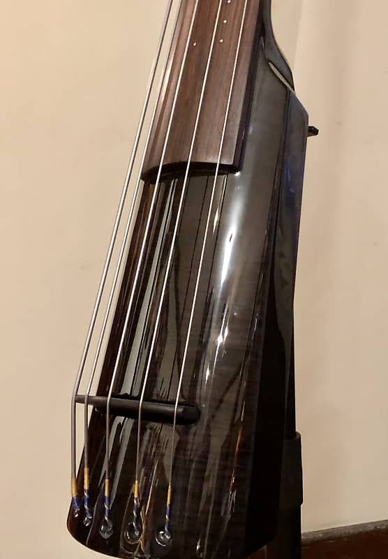 NS Design WAV5 upright electric bass, 5string, black with Reverb