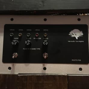 Tree Audio 8 Channel Roots Console 2014 Silver Custom Finish image 2