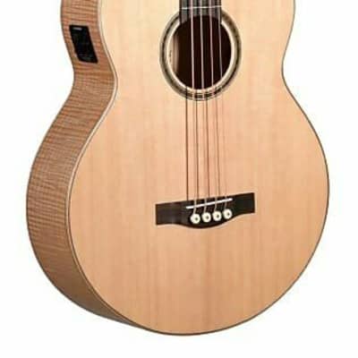 Teton STB130FMCENT Acoustic-Electric Bass, Solid Sitka Spruce Top image 13