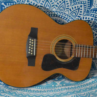 1969 Guild F-112 Solid Spruce Top Solid Mahogany Back & Sides U.S.A. Built 12 String Acoustic Guitar with Fresh Neck Re-set & Hard-Shell Case image 1