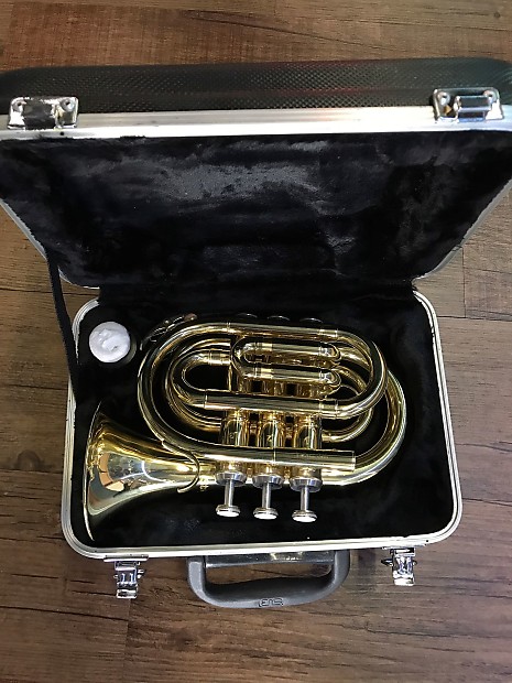 Stagg WS-TR245 Bb Student Pocket Trumpet w/ Case image 1