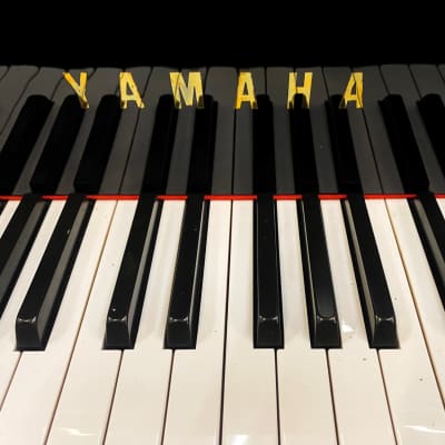 Beauty Grand piano 6'1'' Yamaha C3 image 4