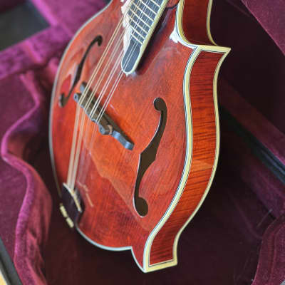 Eastman 815 2022 - Gloss image 5