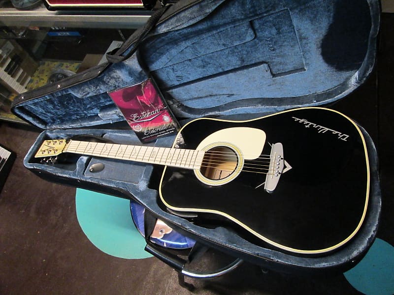 Esteban acoustic shop electric guitar