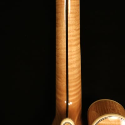 Brand New Bourgeois F Style Mandolin Model M5-F Adirondack / Flamed Maple All Torrified image 5