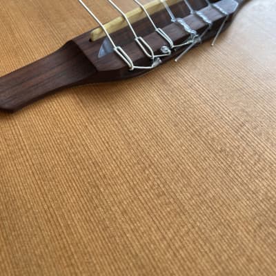 Takamine EAN60c 2002 Natural Satin Finish Nylon Guitar image 6