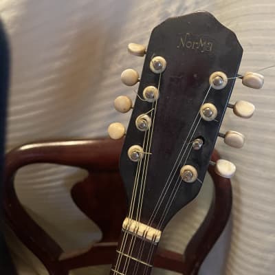 norma  mandolin.  project sunburst image 9