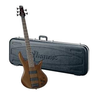 Ibanez GSR205 5-String Electric Bass with Ibanez MB100C Bass Case image 1