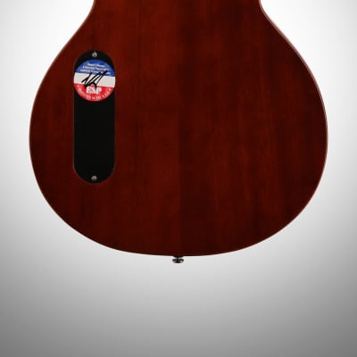ESP LTD TL-6N Thinline-6 Nylon Classical Acoustic-Electric Guitar, Natural image 6