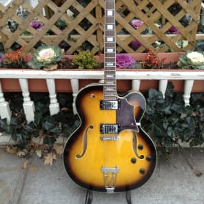 DiPinto Bacchus new sunburst Archtop w/Dipinto Case image 7