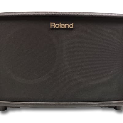 Roland AC-60 / AC-60-RW amplificatore per chitarra acustica Chorus con  doppio altoparlanti da 30 Watt AC 60 / AC 60 RW da 6.5 pollici, palissandro