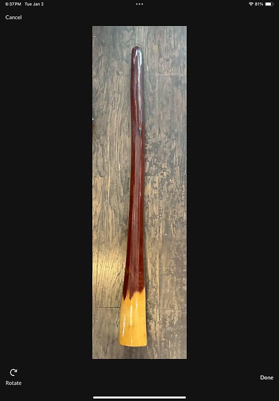 Eucalyptus 59 " Didgeridoo Reverb