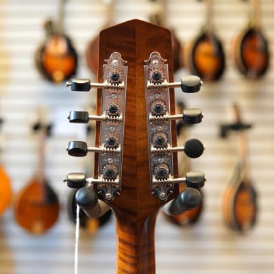 Northfield NFM-A5 Model M Engelmann Spruce/Figured Maple A-Style Mandolin Amber Top w/Hard Case image 8