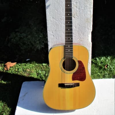 Washburn Artwood  Aw-10  Guitar, 2000 , Natural Finish,  Plays & Sounds Good image 1