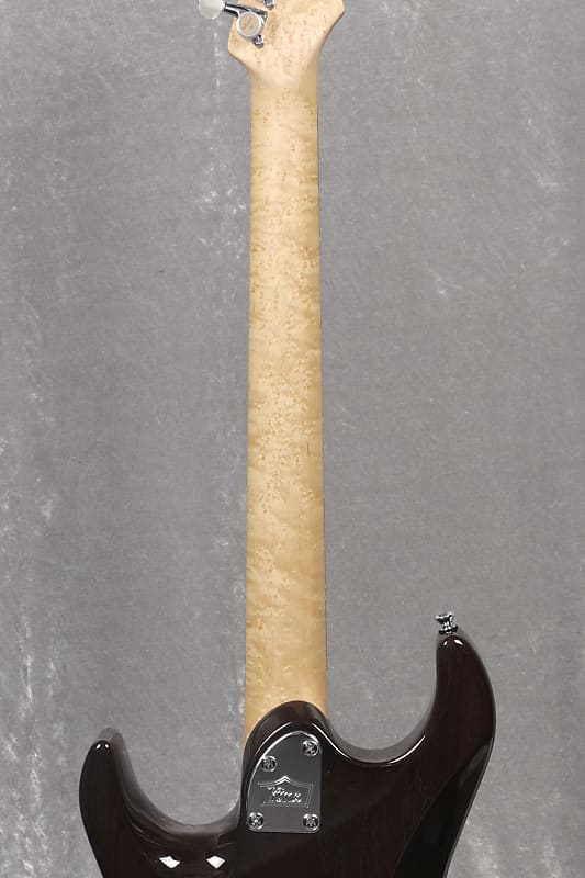 Kino Factory treebud 22F Zebra Wood Top Walnut Back Trans