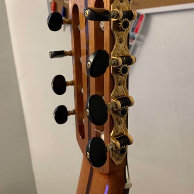 Daniel Mendes Eight String Guitar 2018 Cedar / Brazilian Rosewood image 6