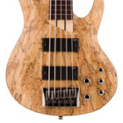 ESP LTD B205SM-FL Fretless 5 String Electric Bass Guitar Natural Satin image 1