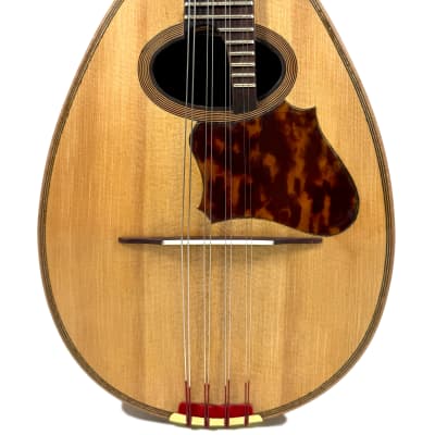Concert Mandolin Emanuele Egildo N°299 from 1912 image 2