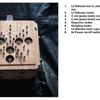 Ciat-Lonbarde DogeVox image 8